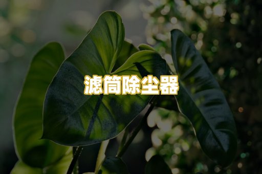 滤筒除尘器